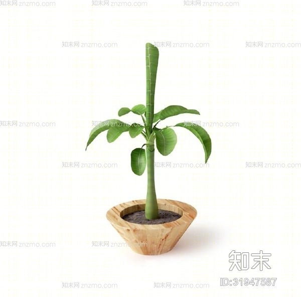 绿色盆栽3D模型下载【ID:31947587】