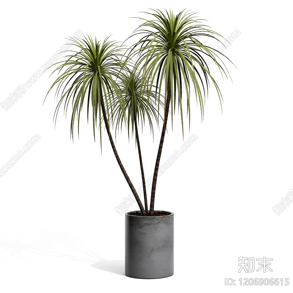 盆栽植物组合3D模型下载【ID:1206906615】