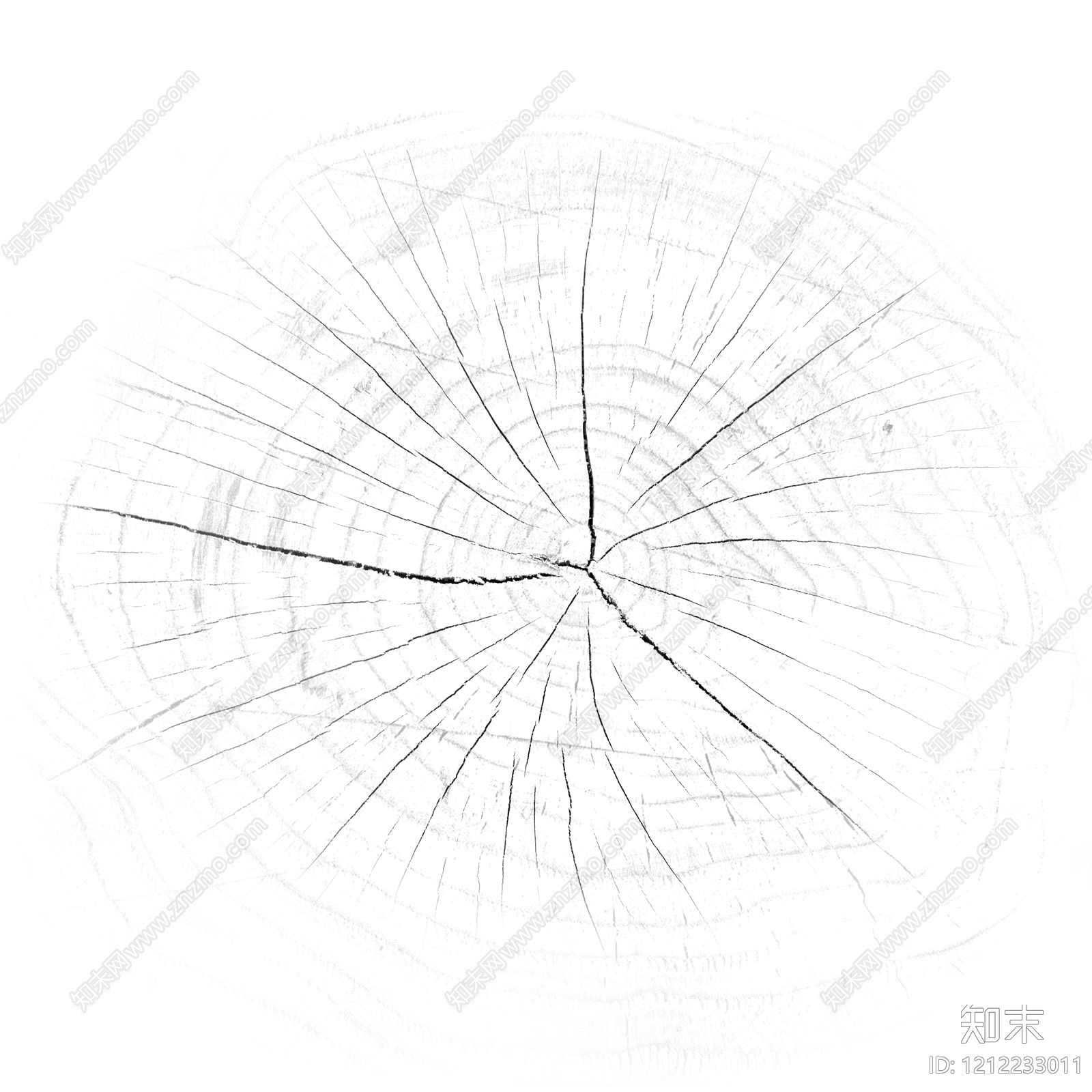 年轮贴图下载【ID:1212233011】