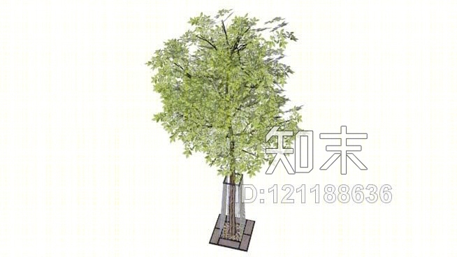 带保护器的小树（方形）SU模型下载【ID:121188636】