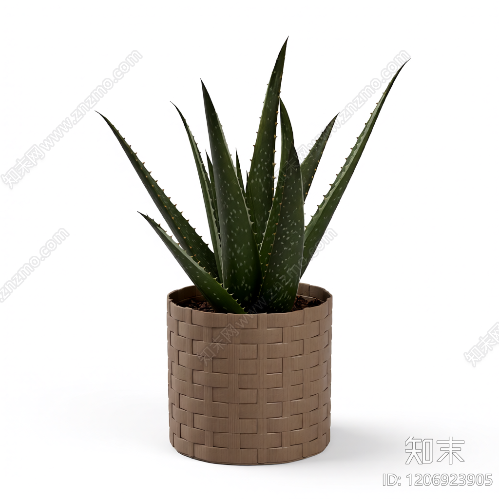 芦荟盆栽植物3D模型下载【ID:1206923905】