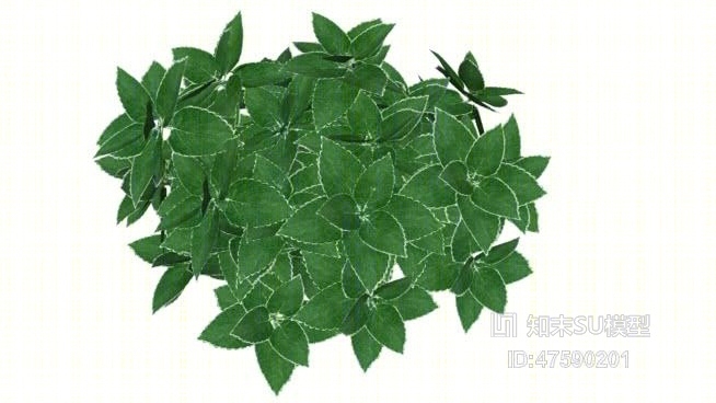 草SU模型下载【ID:219296133】