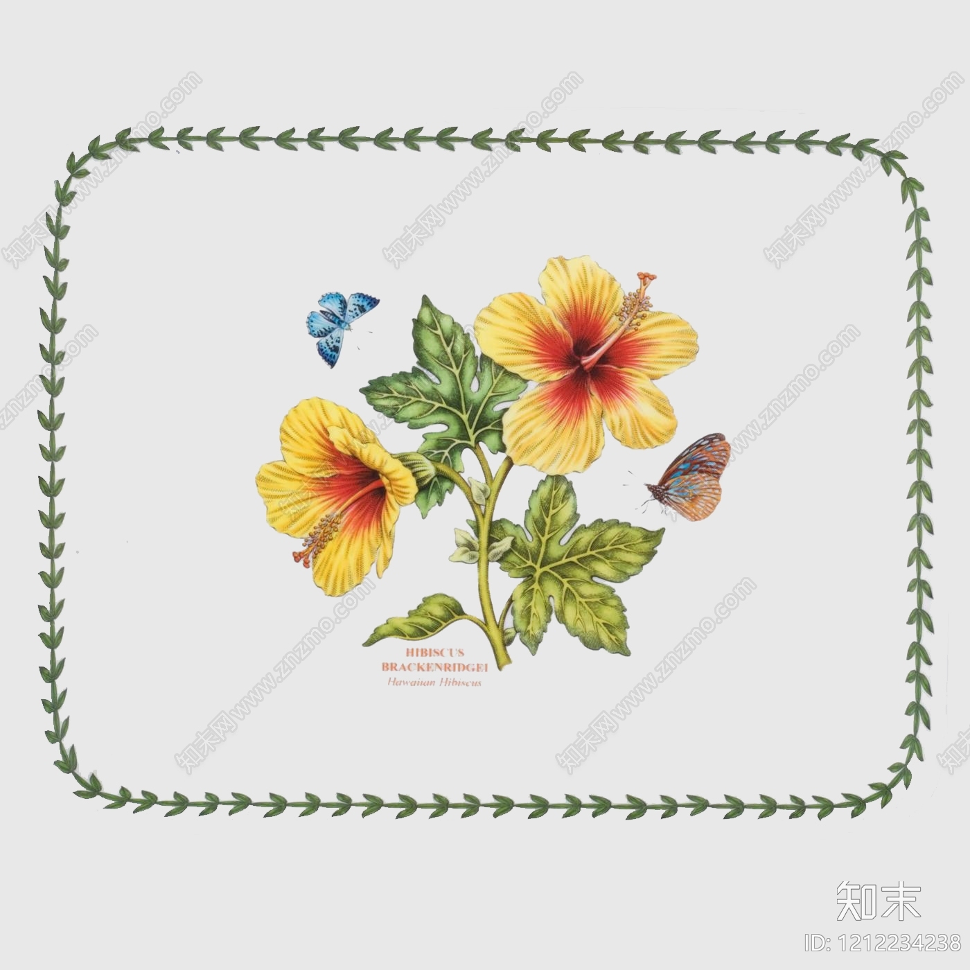 果实纹理贴图下载【ID:1212234238】