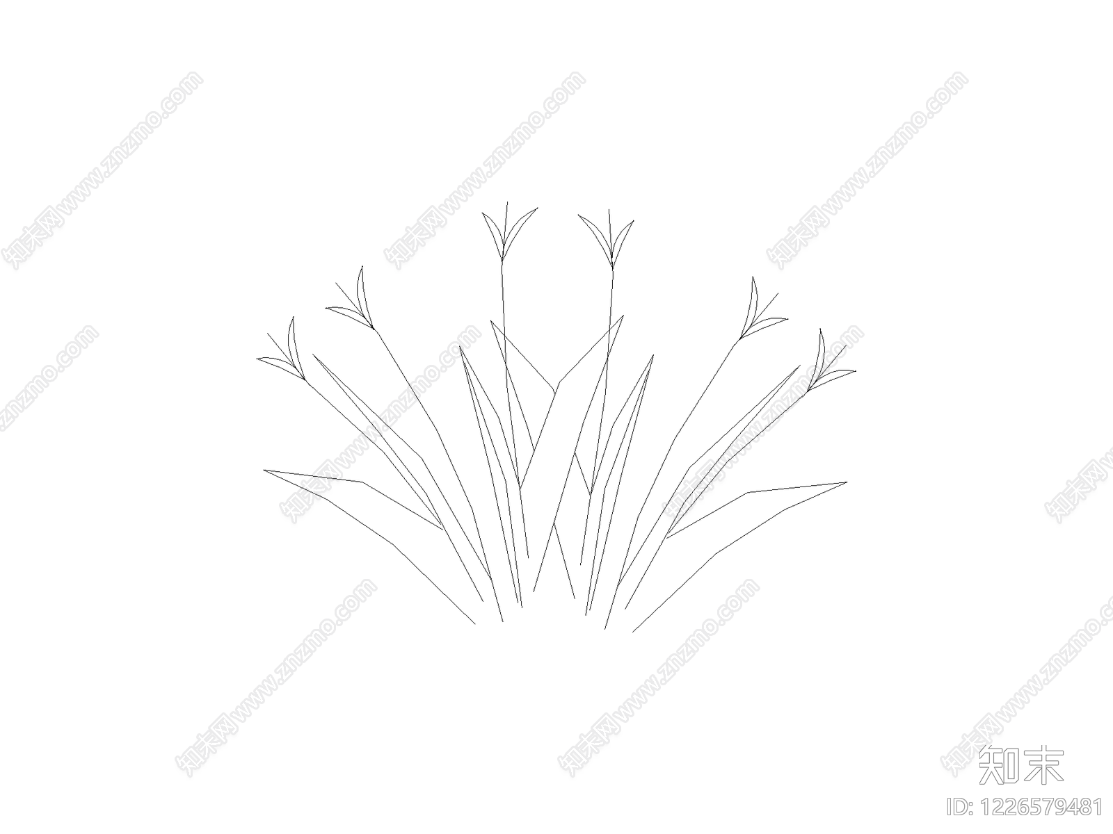 其他地被种植CAD图纸