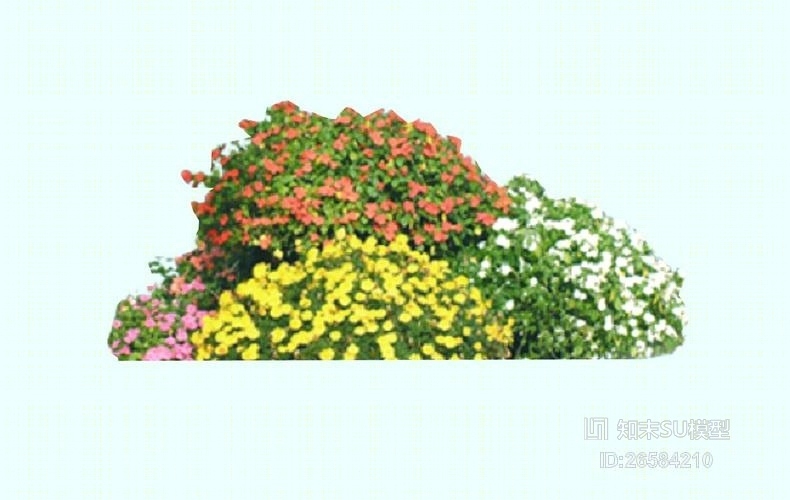2D灌木SU模型下载【ID:26584210】