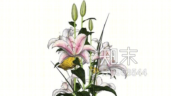 鲜花高挑SU模型下载【ID:120953544】