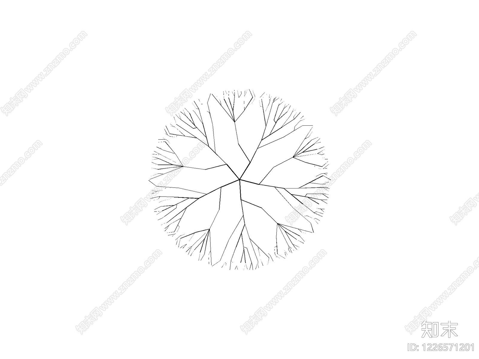 其他乔木种植CAD图纸