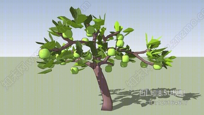 苹果树SU模型下载【ID:126064607】