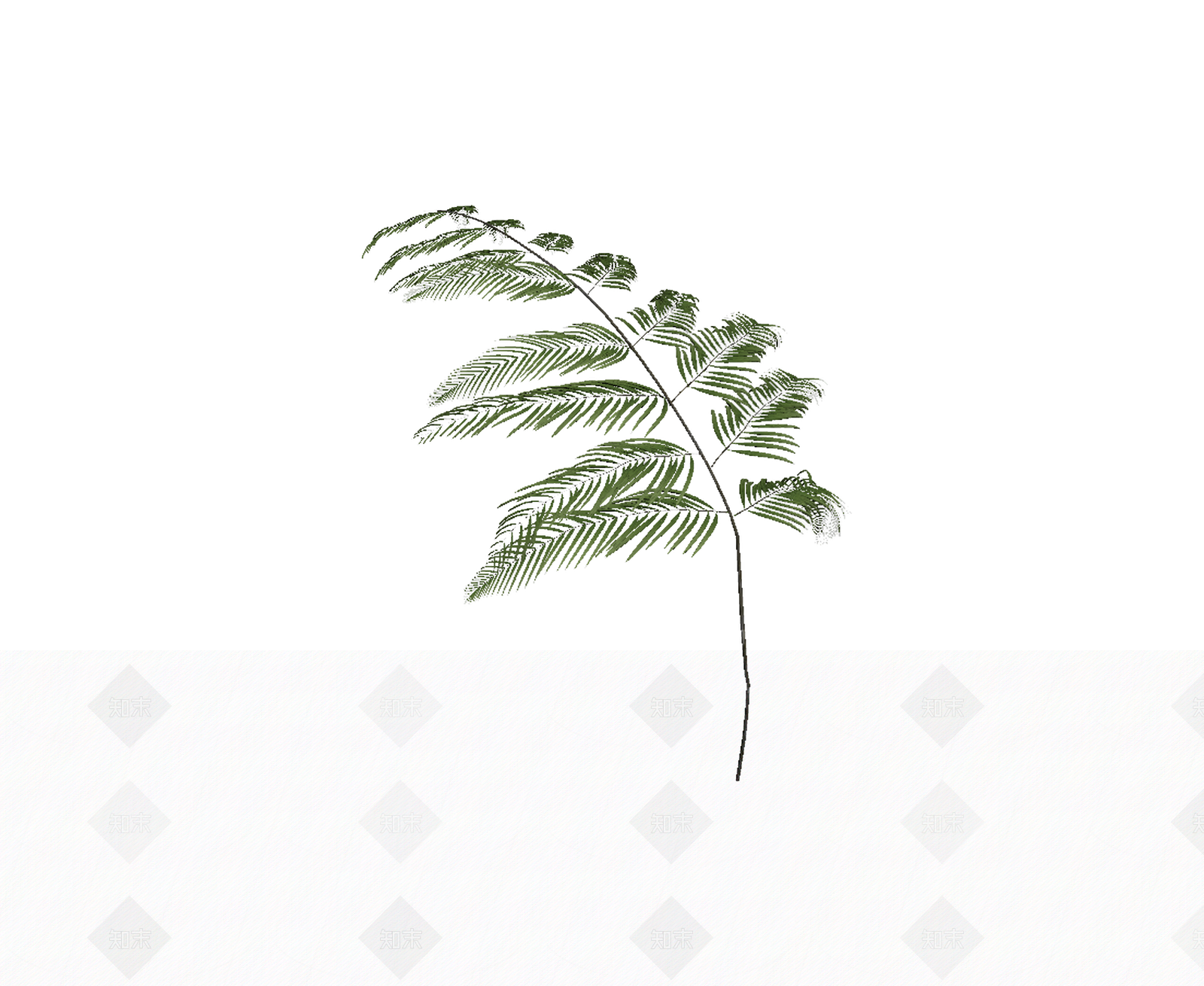 绿色枝叶植物模型3D模型下载【ID:1206188963】