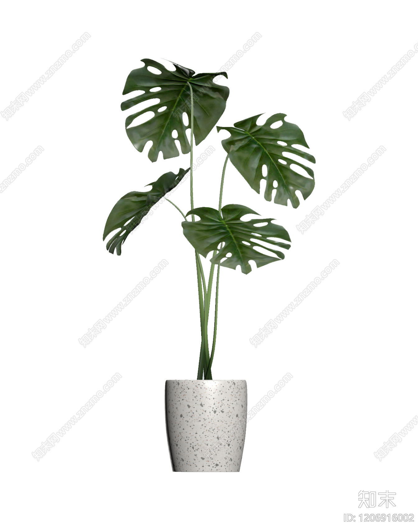 龟背竹盆栽3D模型下载【ID:1206916002】