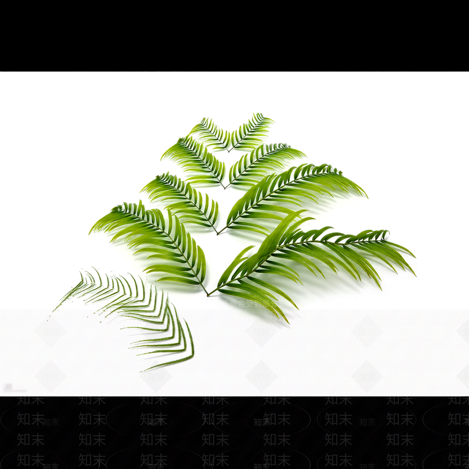 绿色枝叶植物模型3D模型下载【ID:1206188262】