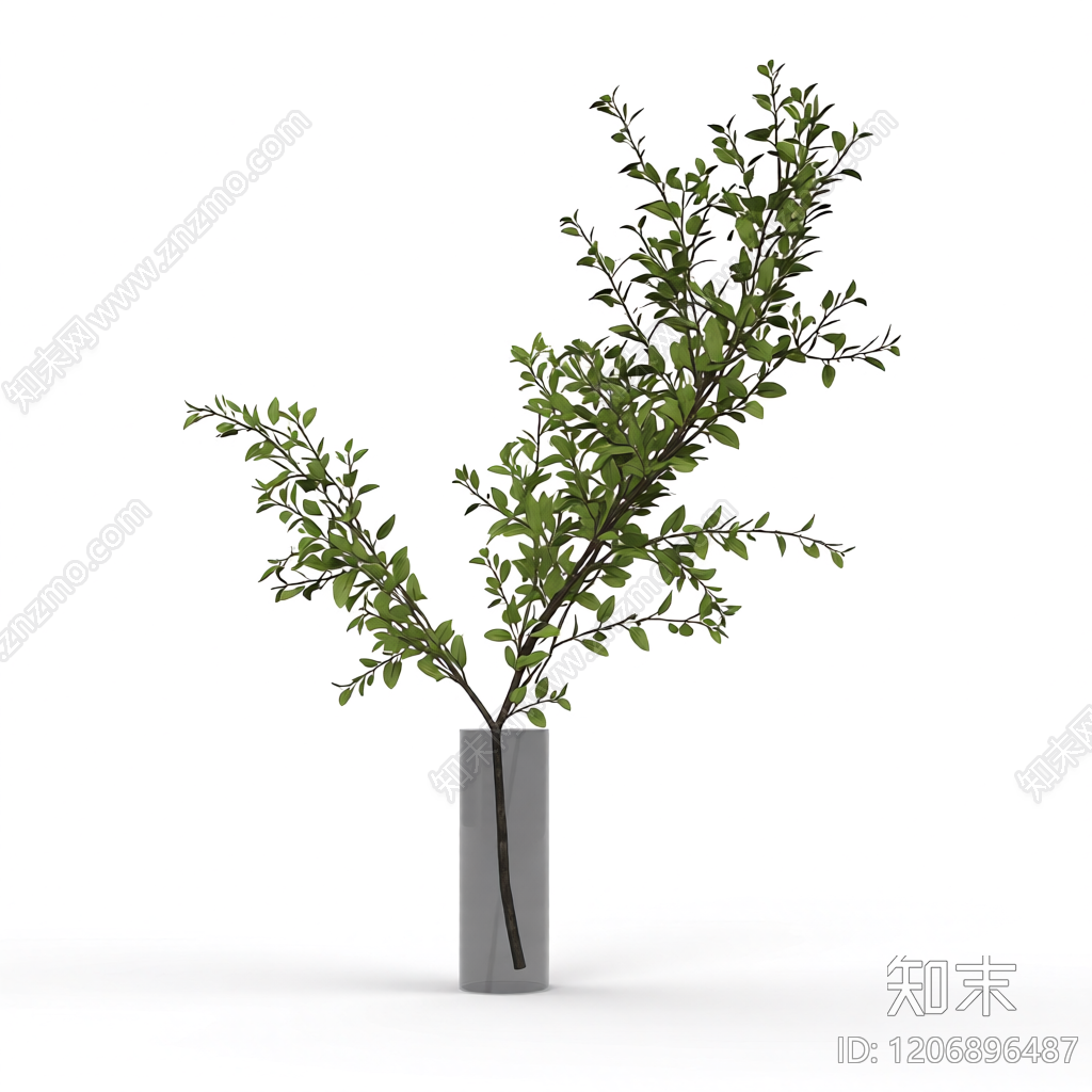 盆栽植物带花盆3D模型下载【ID:1206896487】