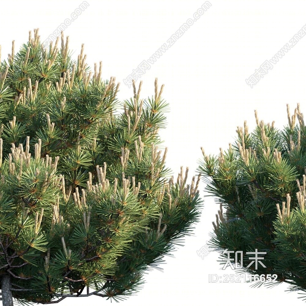 现代灌木花草3D模型下载【ID:252116652】