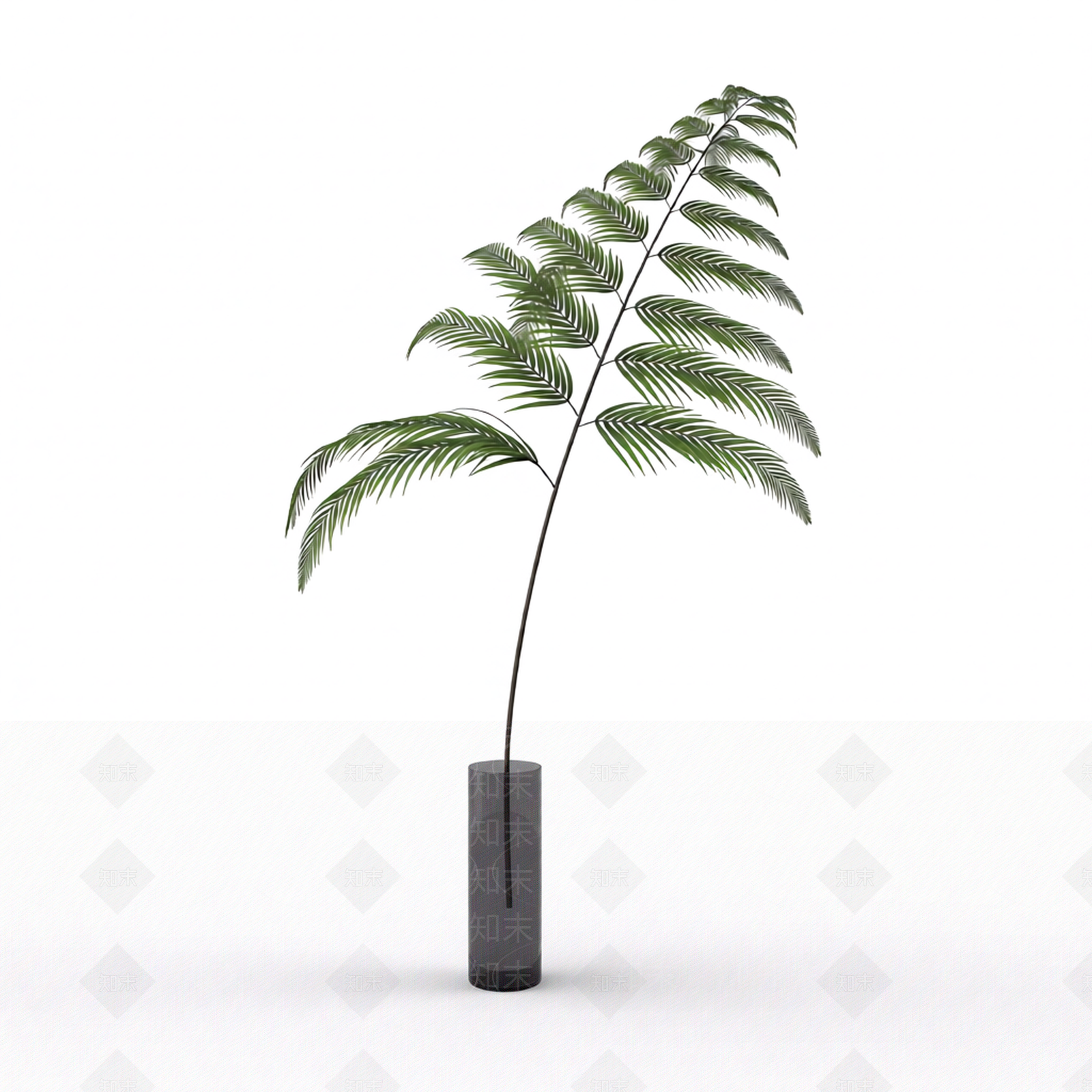 带盆绿色植物模型3D模型下载【ID:1206187237】
