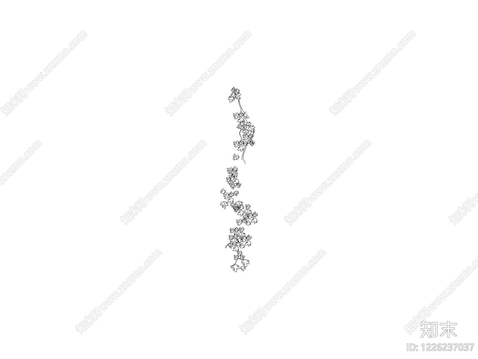 攀援植物cad施工图下载【ID:1226237037】