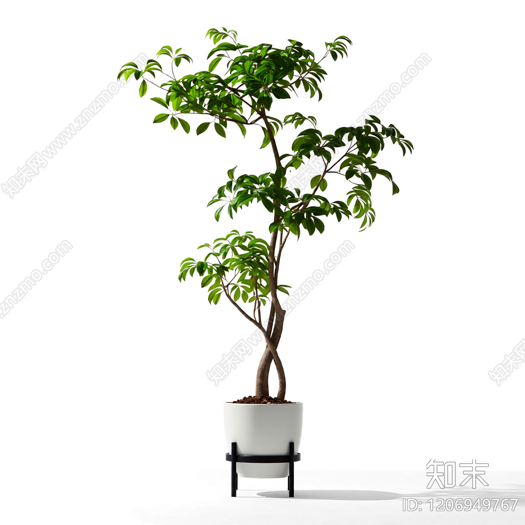 盆栽植物带花盆3D模型下载【ID:1206949767】