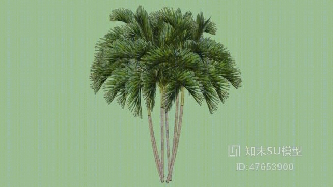 树SU模型下载【ID:47653900】
