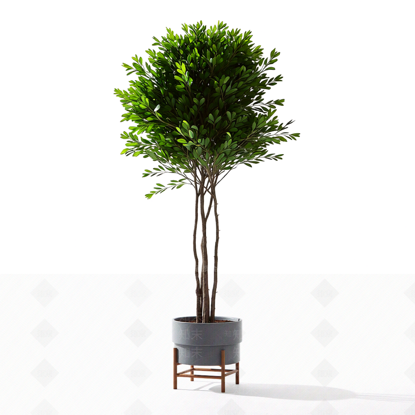 带盆栽的室内植物3D模型下载【ID:1206187714】