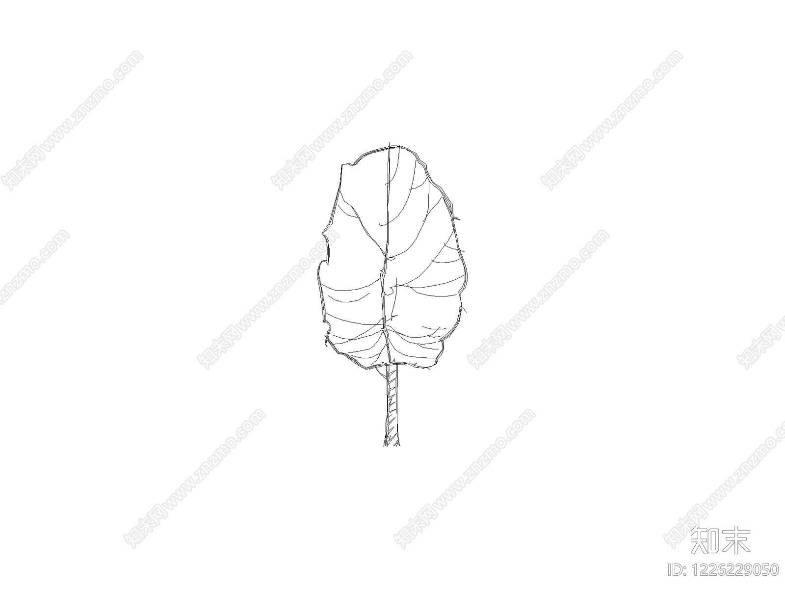 现代乔木种植CAD图纸
