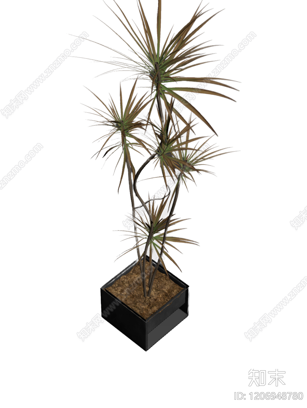 盆栽植物装饰3D模型下载【ID:1206948780】
