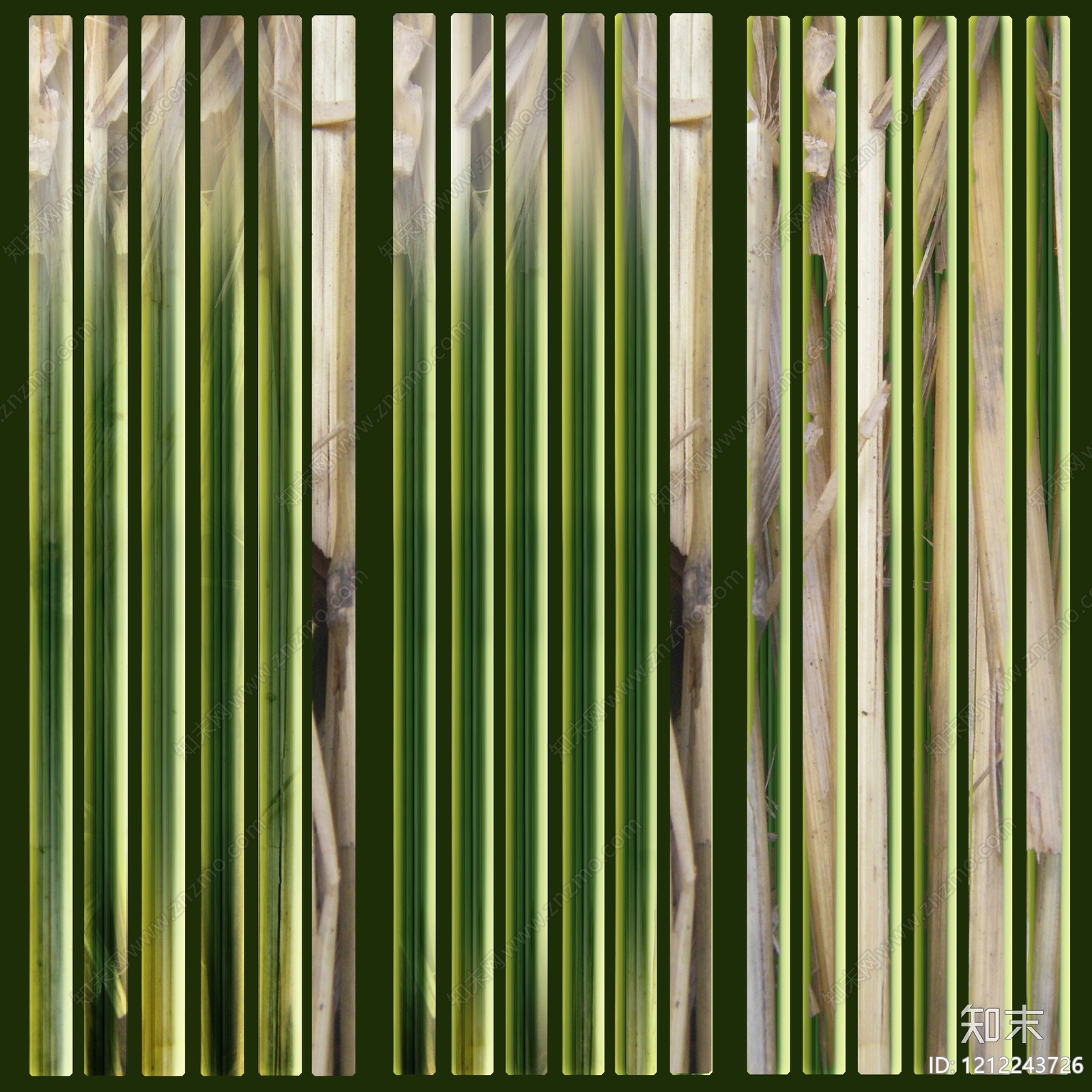 竹材贴图下载【ID:1212243726】