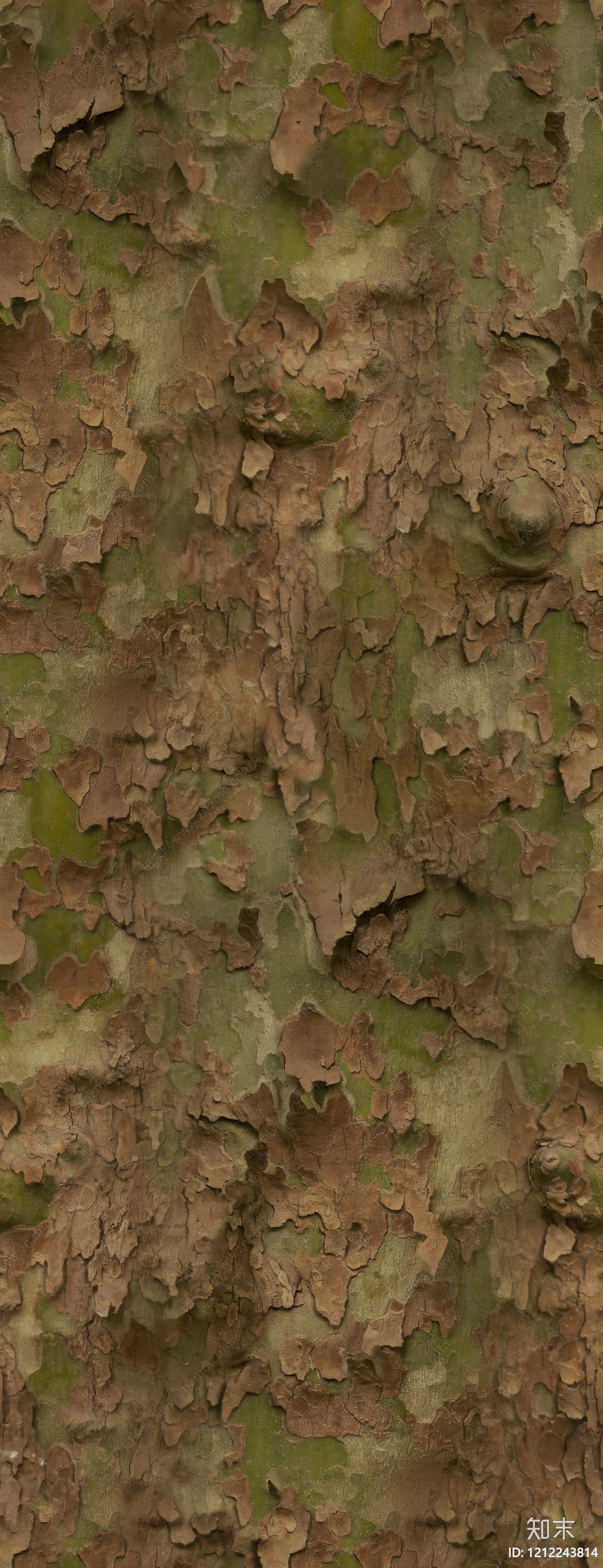 老木头贴图下载【ID:1212243814】