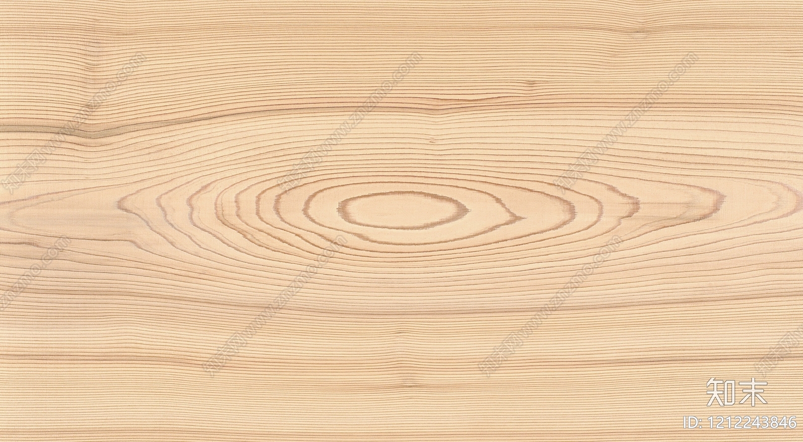 年轮贴图下载【ID:1212243846】