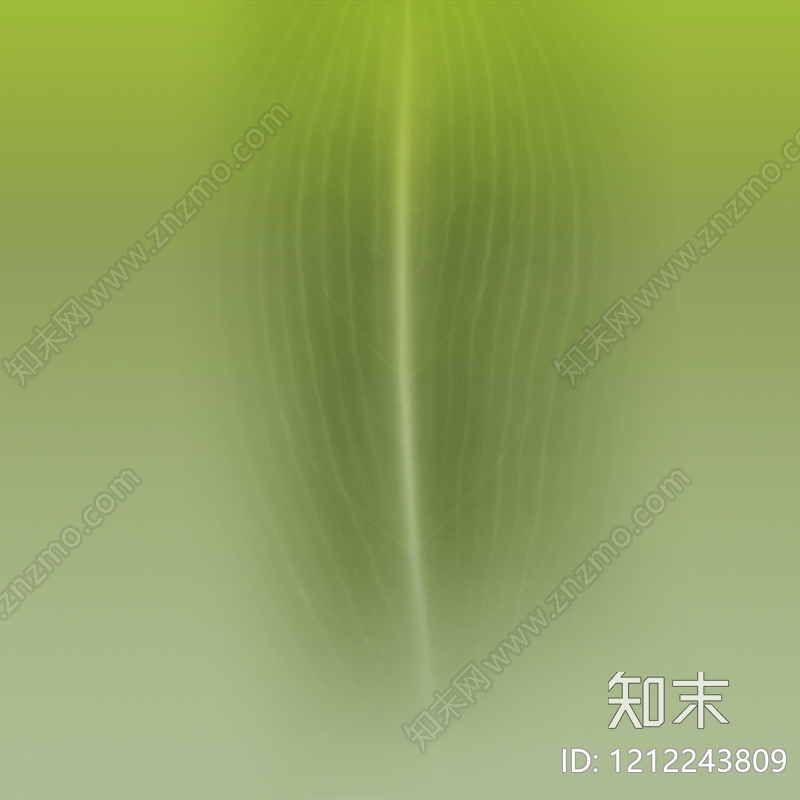 叶片纹理贴图下载【ID:1212243809】