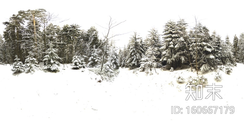 雪景森林HDR全景贴图贴图下载【ID:160667179】