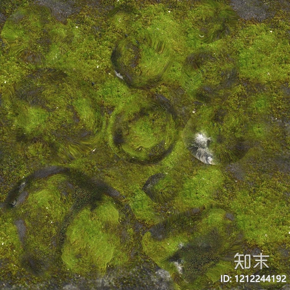 苔藓纹理贴图下载【ID:1212244192】
