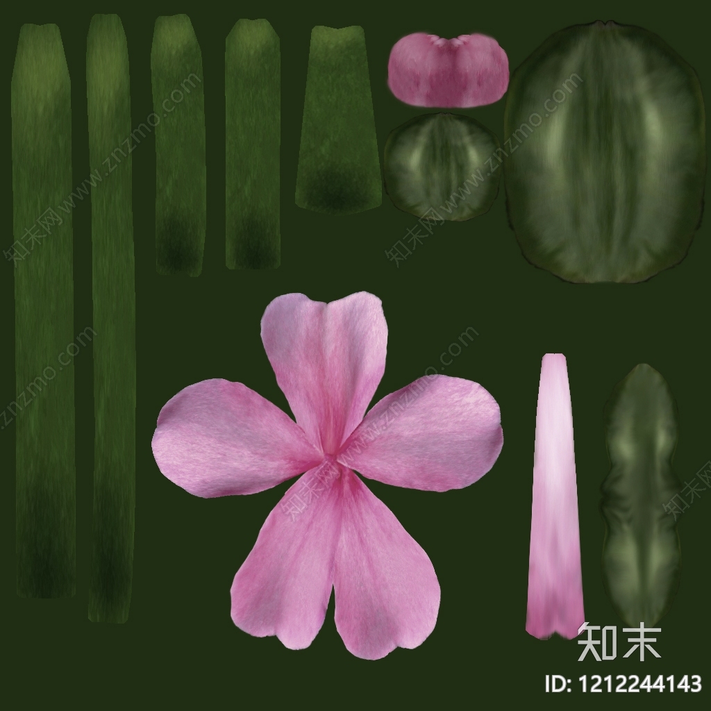 果实纹理贴图下载【ID:1212244143】