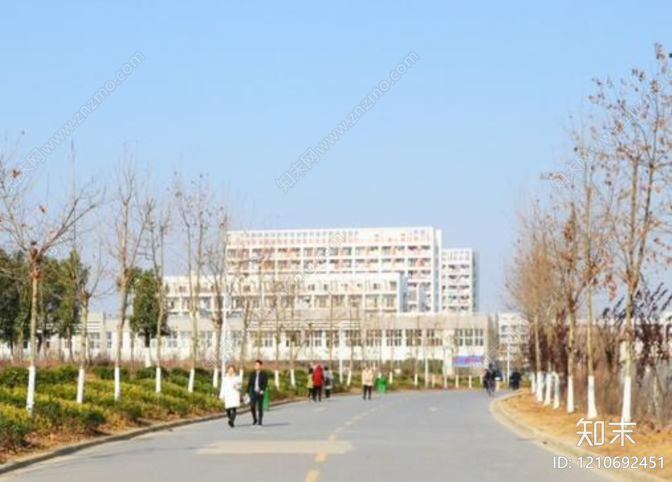 街道外景贴图下载【ID:1210692451】