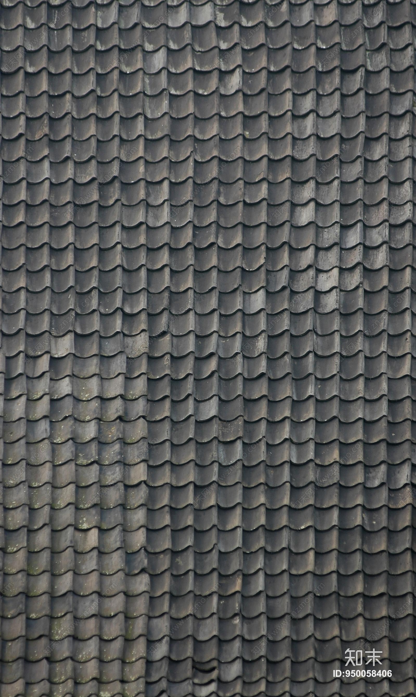 瓦当贴图下载【id:950058406】