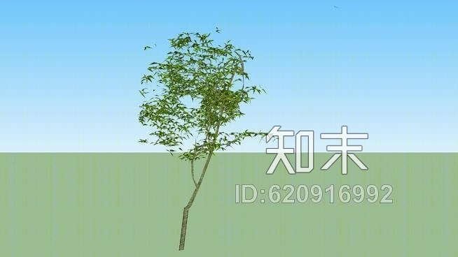 小树SU模型下载【ID:620916992】