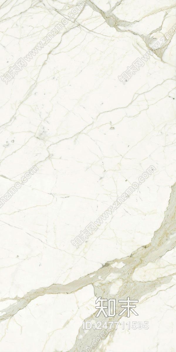 子非鱼贴图下载【ID:247711595】