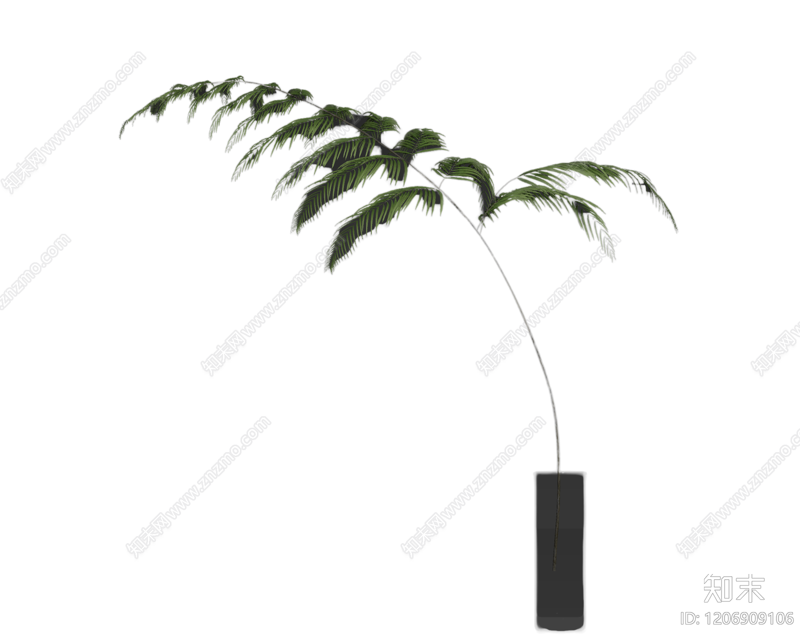 盆栽蕨类植物3D模型下载【ID:1206909106】