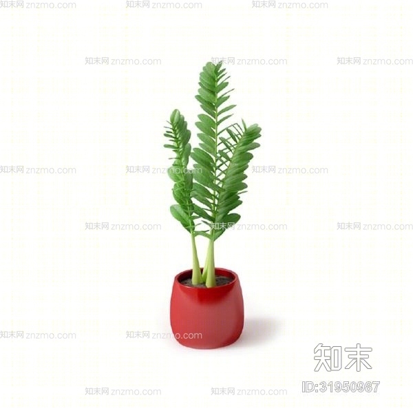 绿色盆栽3D模型下载【ID:31950987】
