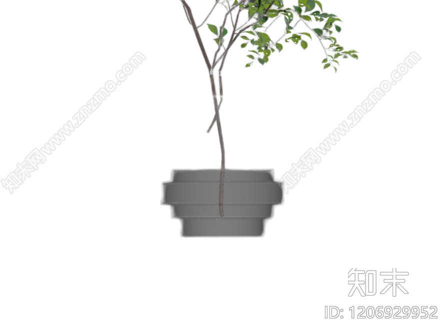 盆栽植物模型3D模型下载【ID:1206929952】