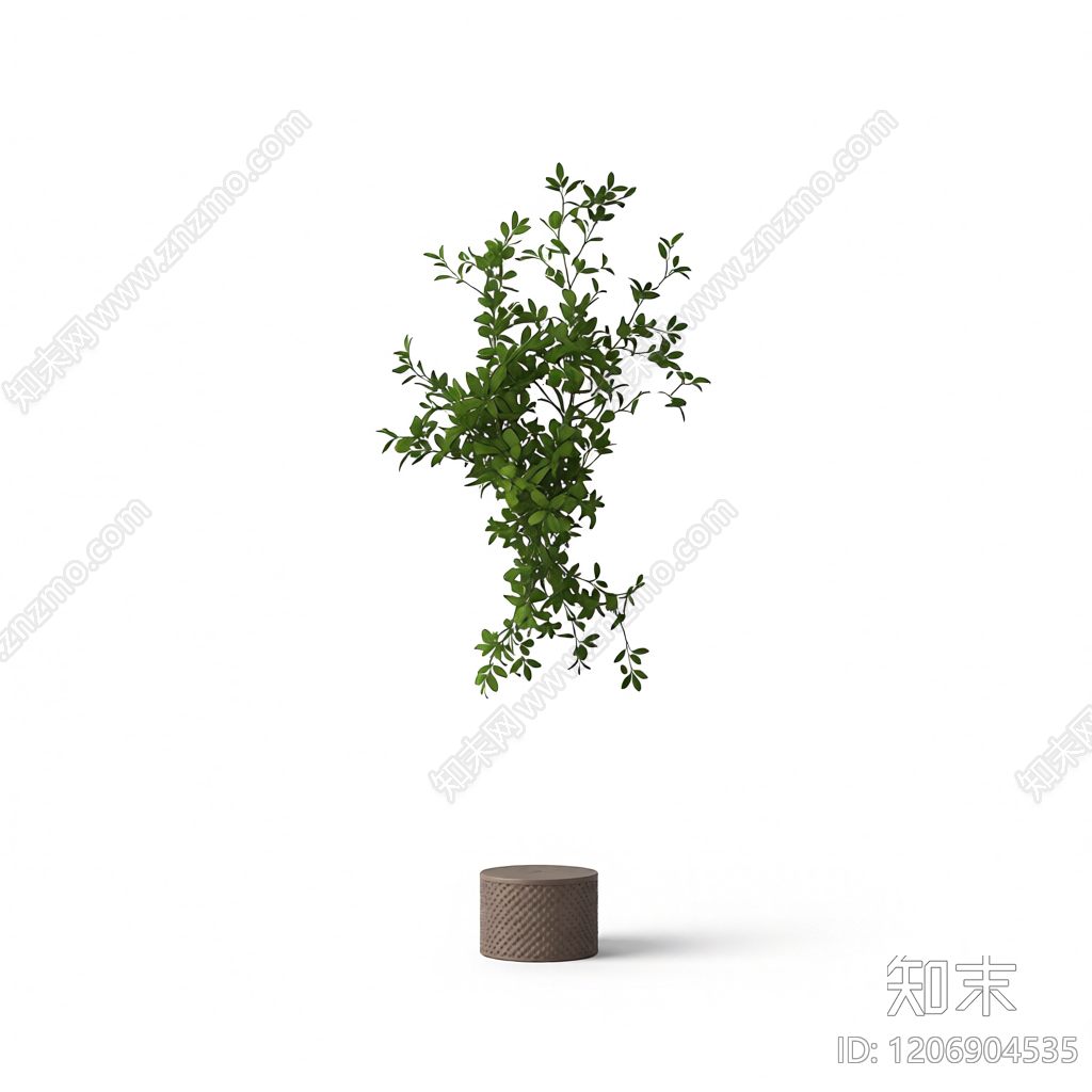 盆栽植物组合3D模型下载【ID:1206904535】
