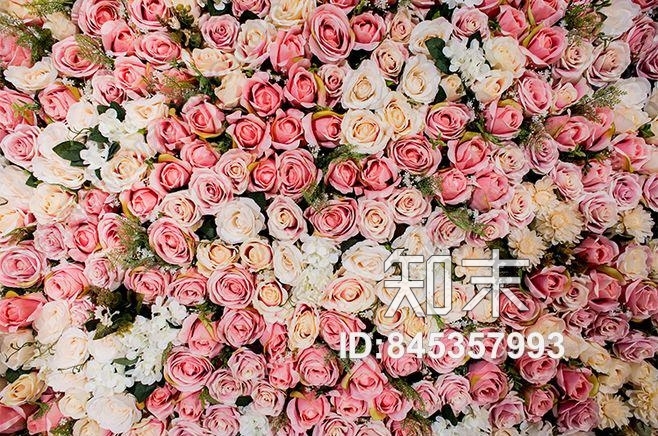 玫瑰花墙贴图下载【ID:845357993】