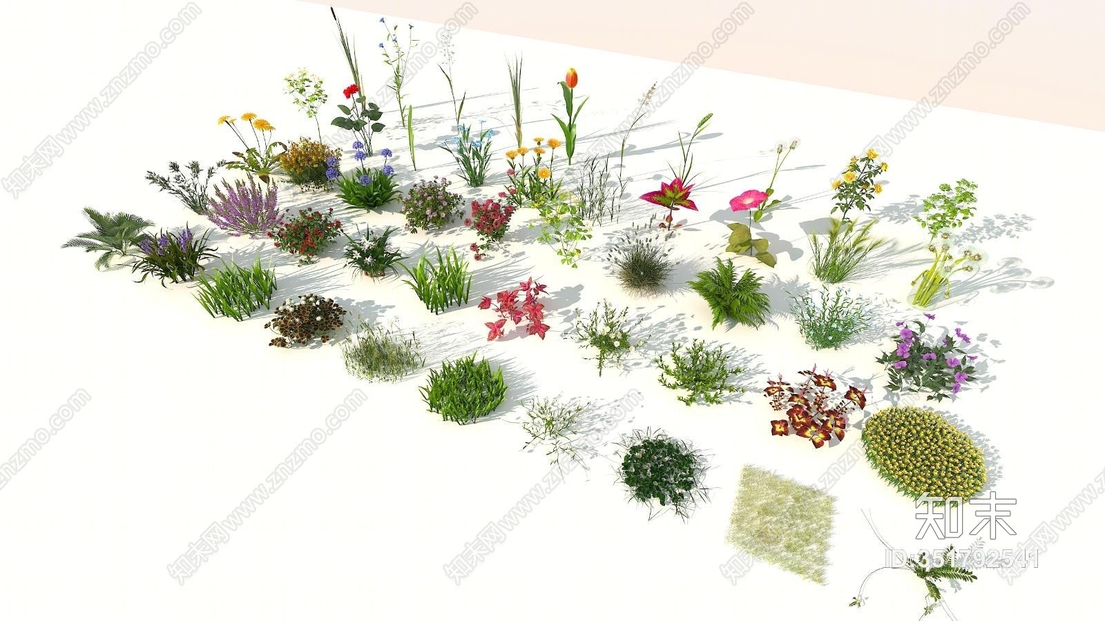 现代花草3D模型下载【ID:351792541】