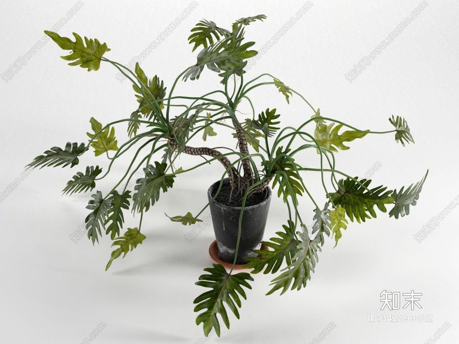 现代绿植盆栽3D模型下载【ID:342899832】