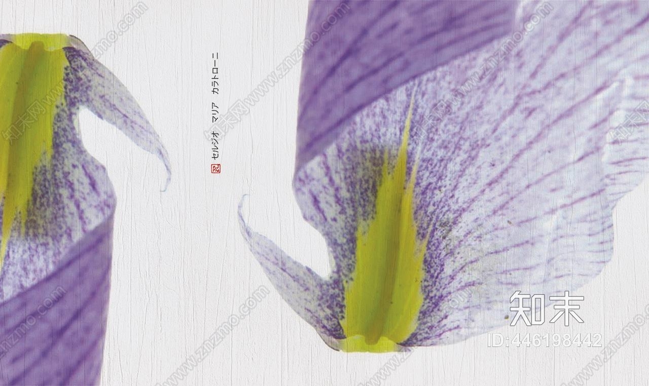 现代简约清新植物紫色花朵装饰壁纸壁画贴图下载【ID:446198442】