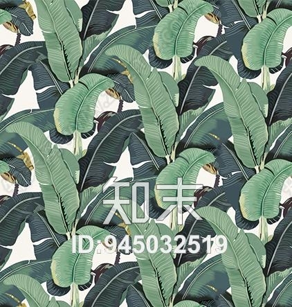 植物壁纸高清贴图材质