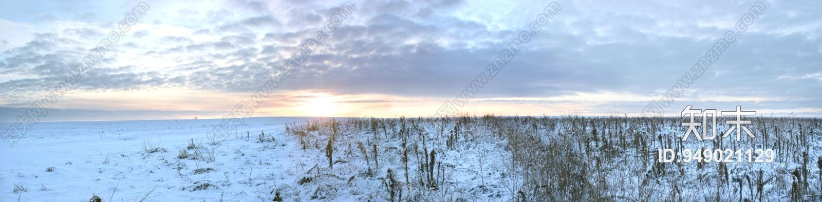 白天户外贴图下载【ID:949021129】