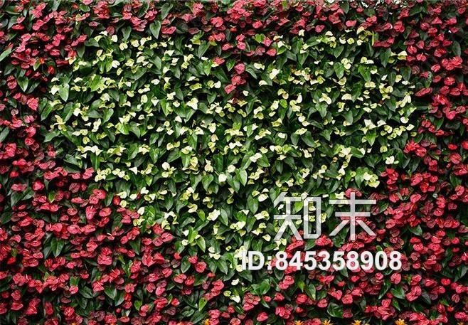 玫瑰花墙贴图下载【ID:845358908】