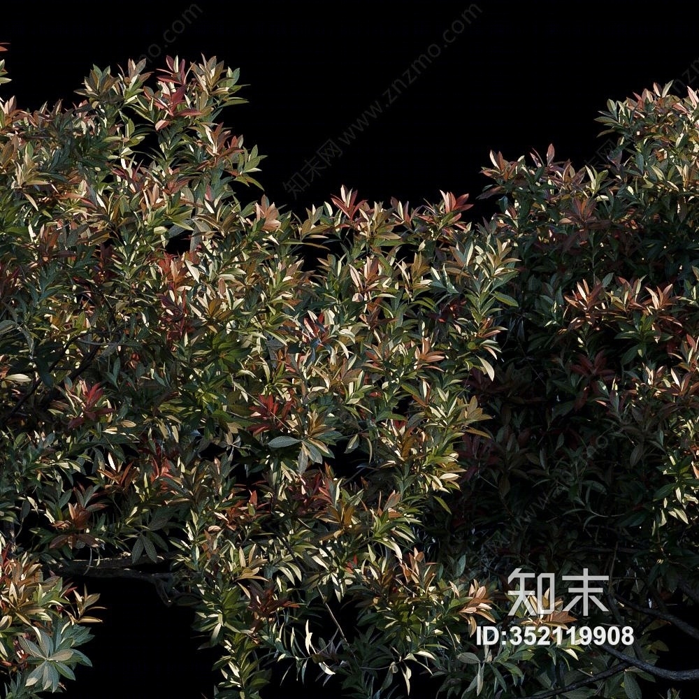 现代景观树3D模型下载【ID:352119908】