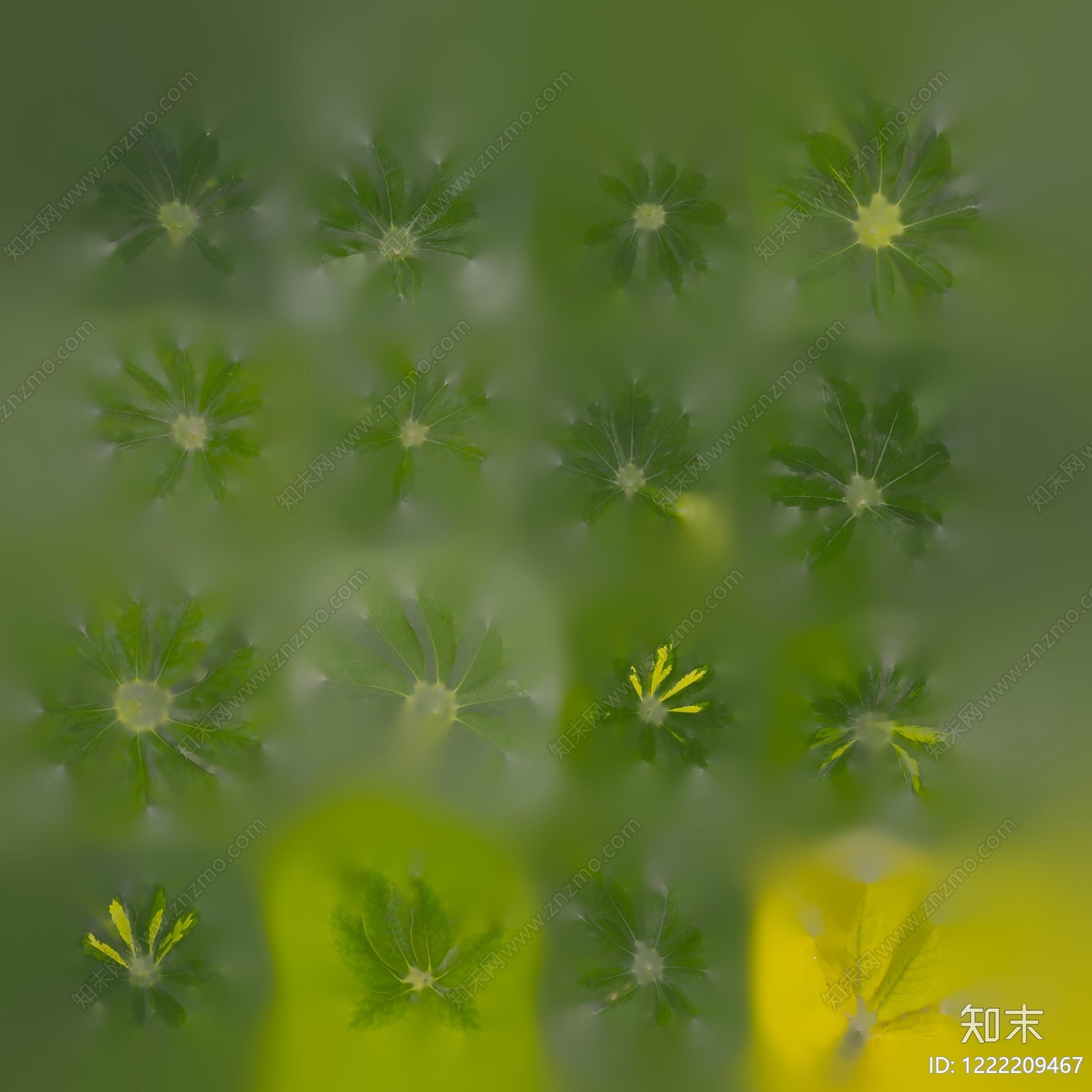 绿植墙贴图下载【ID:1222209467】