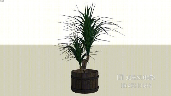 盆栽SU模型下载【ID:117889821】
