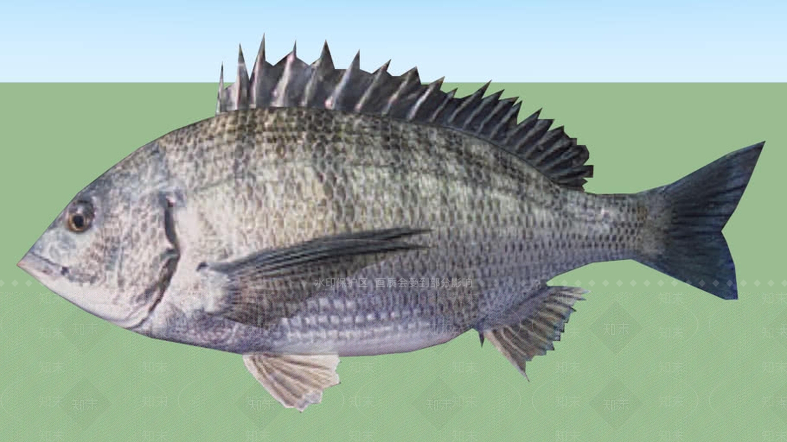 FishSU模型下载【ID:1161998409】